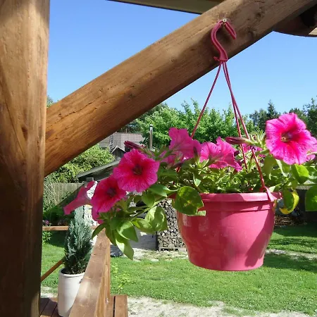 Kodumajutus Homestay szállás